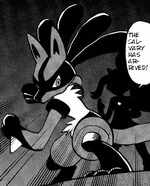 Lucario joined Shauna in the battle against Celosia at the Pokémon Village.