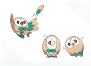 Rowlet concept artwork