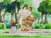 Meowth cannot find his sandwich