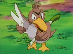 Pokemon Episode 49 Analysis – So Near, Yet So Farfetch'd