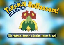 Bellossom- Who's That Pokémon.jpg