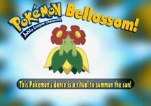 Bellossom- Who's That Pokémon