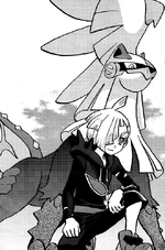 Gladion sent Type: Null to battle Hau's Komala. He later sent it to fight Sun's Dollar. While protecting Lillie from an Ultra Beast, it evolved into a Silvally.
