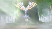 Xerneas Xerneas