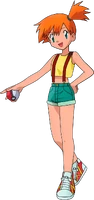 Misty in Pokémon the Series (anime)