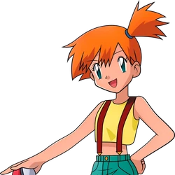 let's play the pokémon card game xy XY main image 1