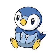 Piplup