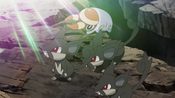 A group of wild Pokémon can now come out of shadow as peace in their world has been restored