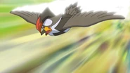 Quick Attack being used by Ash's Staraptor.