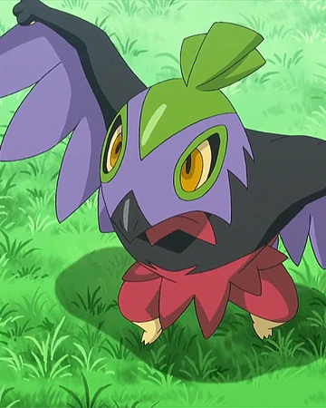 Carl S Hawlucha Pokemon Wiki Fandom