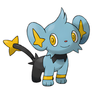 Shinx