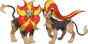 Pyroar is one the Pokémon with clear gender differences. A male Pyroar is on the left side and a female on the right side.