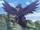 Amethio's Corviknight