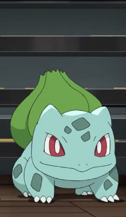 Abby on X: Shiny Bulbasaur in Yellow after 1,296 SRs.✨ That's 2 of the 3  Kanto Starters done in Yellow and I guess I'm moving onto Charmander now.   / X