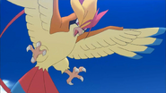 Mega Pidgeot Trailer Anime