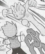 Machop is dispatched by Bruno to serve as a bid for time against the Gym Leaders of Kanto, particularly Brock.