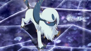 Lusamine's Absol.