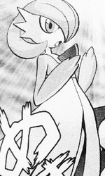 Rara was given to Ruby by his father as a Ralts, he later gave it to Wally. While training under Norman, Rara evolves into a Kirlia which frustrated Wally for it didn't belong to him. After defeating Groudon and Kyogre, she was returned to Ruby, It later evolved into Gardevoir while training with Sapphire's Gallade. Unlike Ruby's other Pokemon, Rara was never used in Contests due to it being with Wally.