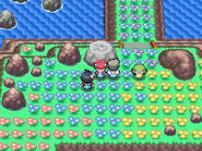 Seabreak Path white rock.png (12 KB) The white rock