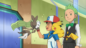 Ash asks Meloetta to cheer him on