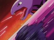 Arbok and Venonat use Poison Sting