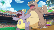 Ilima Mega Kangaskhan