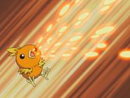 Using Ember as Torchic