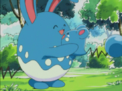 Azurill re-unites with Azumarill