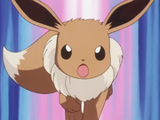 Sakura Eevee