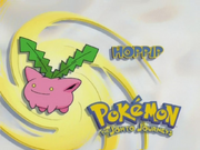 Who's that Pokemon-Hoppip