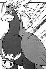 Brav is Black's Pokemon. Since the Battle Subway requires 3 Pokemon, Brav chose to fight by White's side. She returned him back to Black.