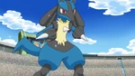 Lucario is Cameron's main Pokémon who is usually seen out of it's Poké Ball. Despite its small size as a Riolu, it is very powerful. During the Vertress Conference, it later evolved when being beaten by Ssh's Snivy.