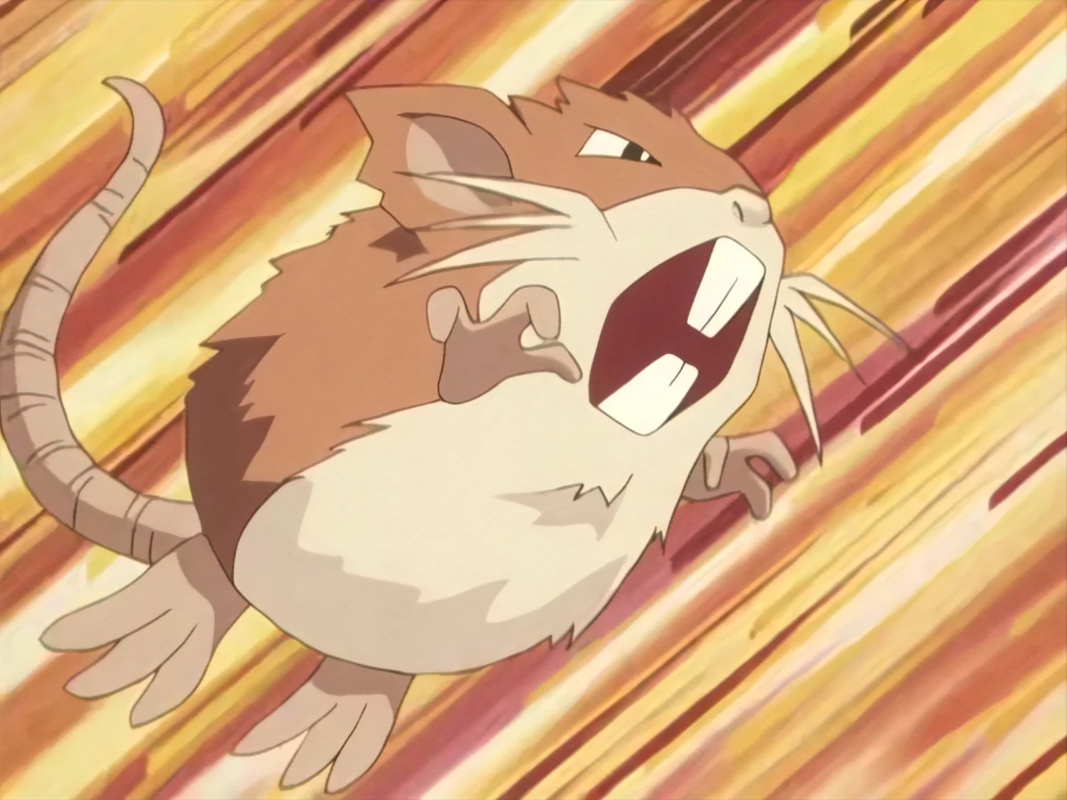 Cassidy's Raticate | Pokémon Wiki | Fandom