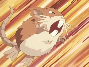 Cassidy's Raticate.