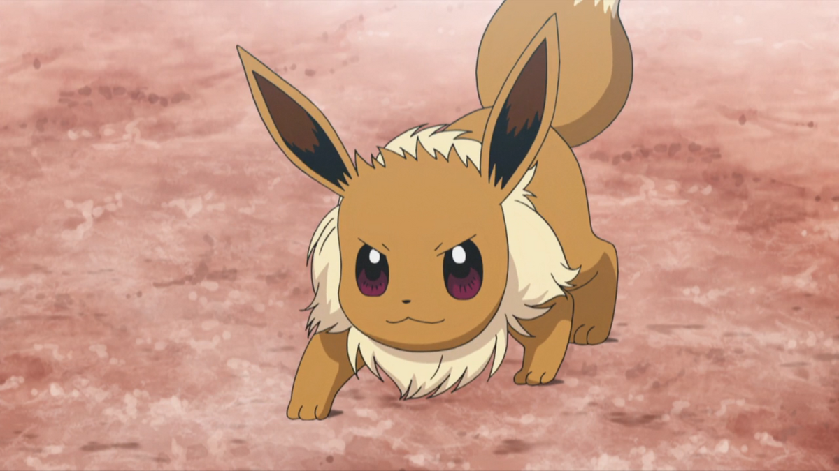 https://static.wikia.nocookie.net/pokemon/images/5/5b/Ilima_Eevee.png/revision/latest/scale-to-width-down/1200?cb=20180309010956