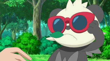 Showcasing Pokémon wearing Sunglasses in Pokémon the Series on Pokémon TV