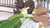 Ash Galarian Farfetch'd and Goh Kantonian Farfetch'd Battling