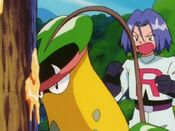 Victreebel licks the tree sap, ignoring James