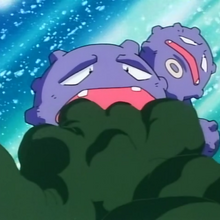 Haze Pokemon Wiki Fandom