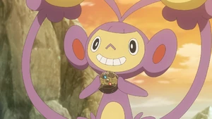 Ambipom in the anime.