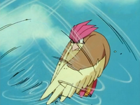 Ash Pidgeotto Gust Counterattack.png