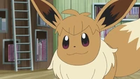 Lana Eevee.png