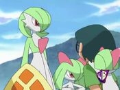 Gardevoir and Kirlia show up