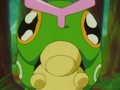 Caterpie gets sad over Misty's reaction
