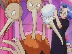 Tb028 Pokemon Fashion Flash Pokemon Wiki Fandom Tb028 Pokemon Fashion Flash Pokemon Wiki Fandom