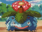 Venusaur is one of the Battle Park's Pokémon. James used it in battle against Ash's Cyndaquil and won.