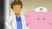 Brock and Blissey