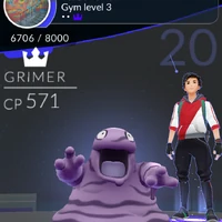 stadion pokemon go pokemon wiki