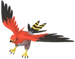 0663Talonflame Pokémon HOME