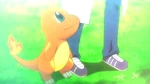 Professor Sycamore gave Charmander to Alain as his starter Pokémon so he was able to begin his journey to battle all Mega Evolutions in the Kalos region. It is able to become Mega Charizard X.